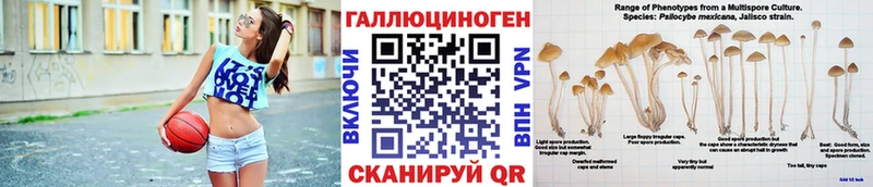 купить   Любим  KRAKEN ссылки  Псилоцибиновые грибы GOLDEN TEACHER 